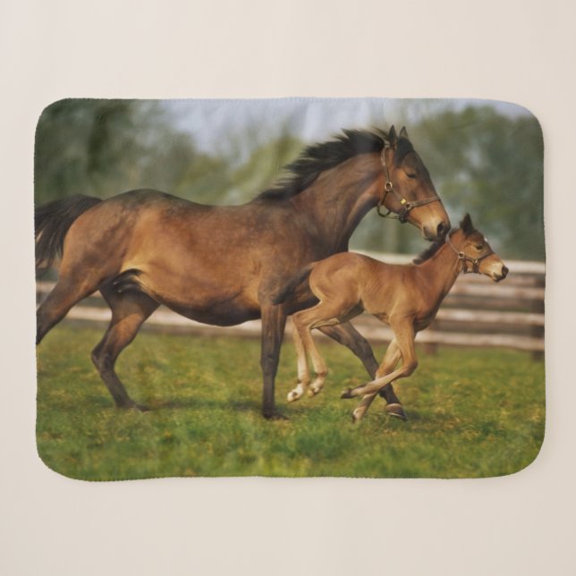 Thoroughbred Chestnut Mare & Foal Sherpa Blanket (Front (Horizontal))