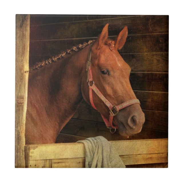 Thoroughbred Horse Ceramic Tile (Front)