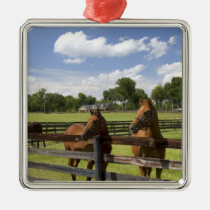 Thoroughbred horse farm in Marion County, Metal Tree Decoration