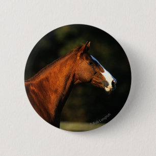 Thoroughbred Horse Headshot 6 Cm Round Badge