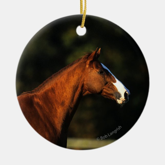 Thoroughbred Horse Headshot Ceramic Ornament (Front)
