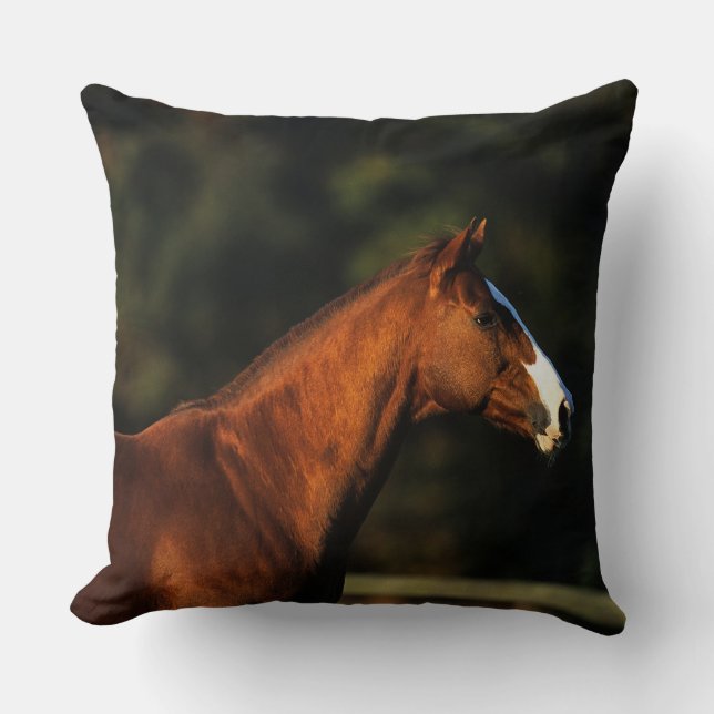 Thoroughbred Horse Headshot Cushion (Front)