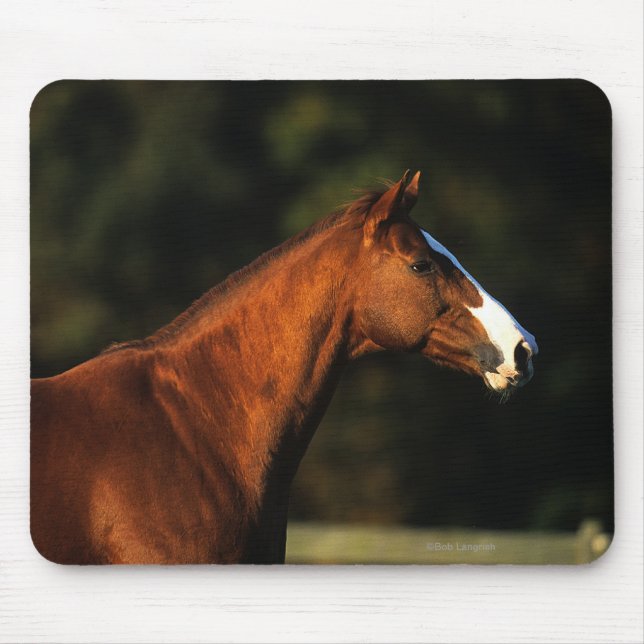 Thoroughbred Horse Headshot Mouse Pad (Front)