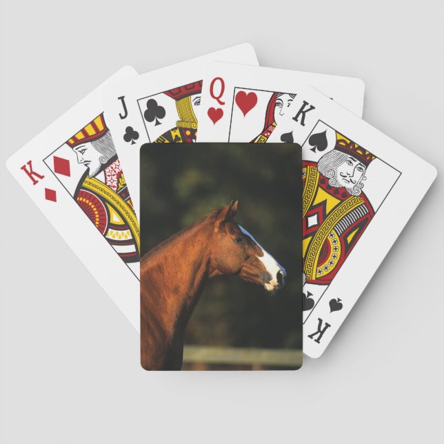 Thoroughbred Horse Headshot Playing Cards (Back)