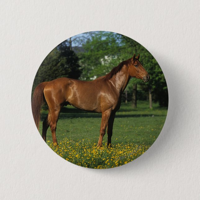 Thoroughbred Horse in Flowers 6 Cm Round Badge (Front)