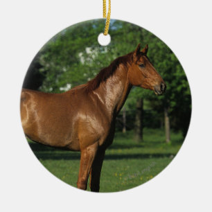 Thoroughbred Horse in Flowers Ceramic Ornament