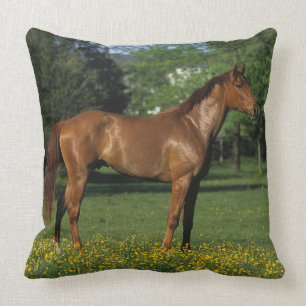 Thoroughbred Horse in Flowers Cushion
