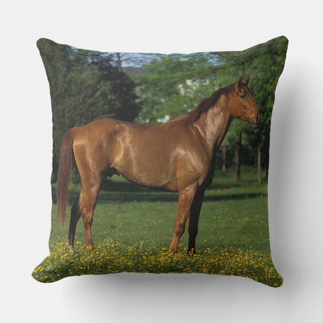Thoroughbred Horse in Flowers Cushion (Front)