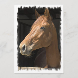 Thoroughbred Horse Invitation