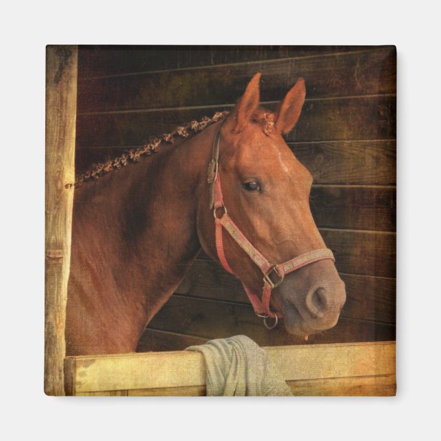 Thoroughbred Horse Magnet (Front)