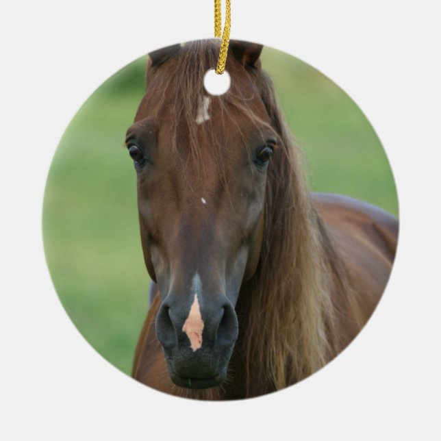 Thoroughbred Horse Photo Ornament (Front)
