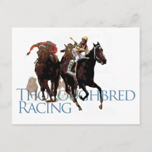 Thoroughbred Horse Racing Gifts Postcard