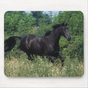 Thoroughbred Horse Running in Grass Mouse Pad