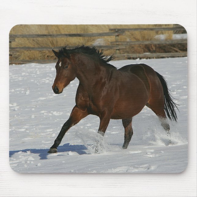 Thoroughbred Horse Running in the Snow Mouse Pad (Front)