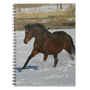 Thoroughbred Horse Running in the Snow Notebook