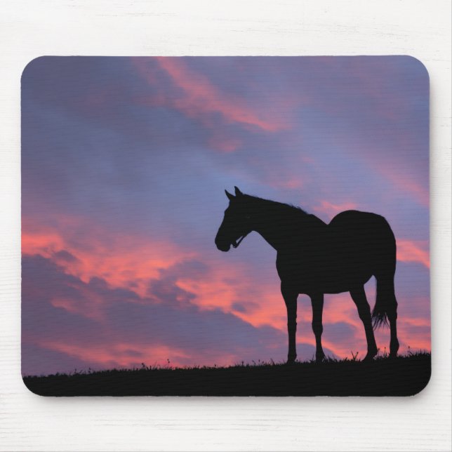 Thoroughbred Horse Silhouetted at Sunrise Mouse Pad (Front)