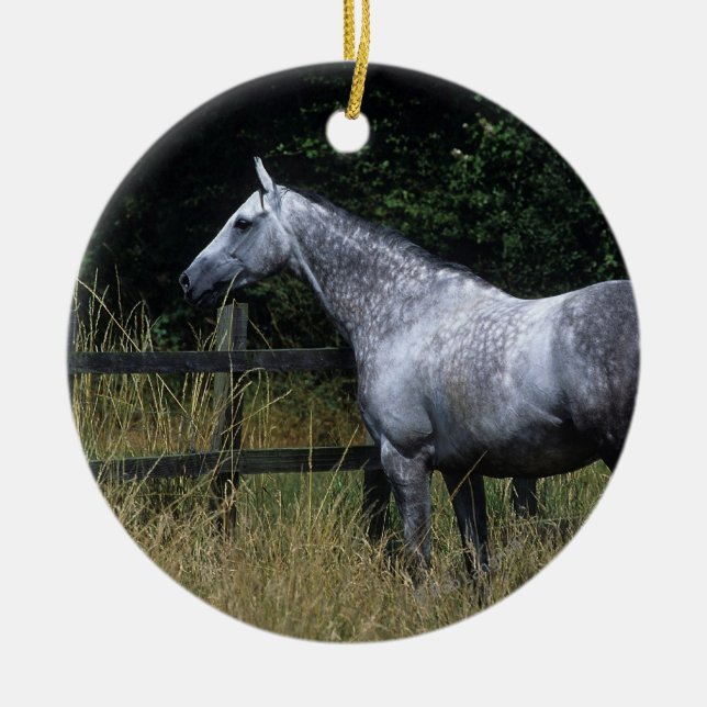 Thoroughbred Horse Standing by Fence Ceramic Ornament (Front)