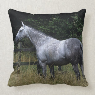 Thoroughbred Horse Standing by Fence Cushion
