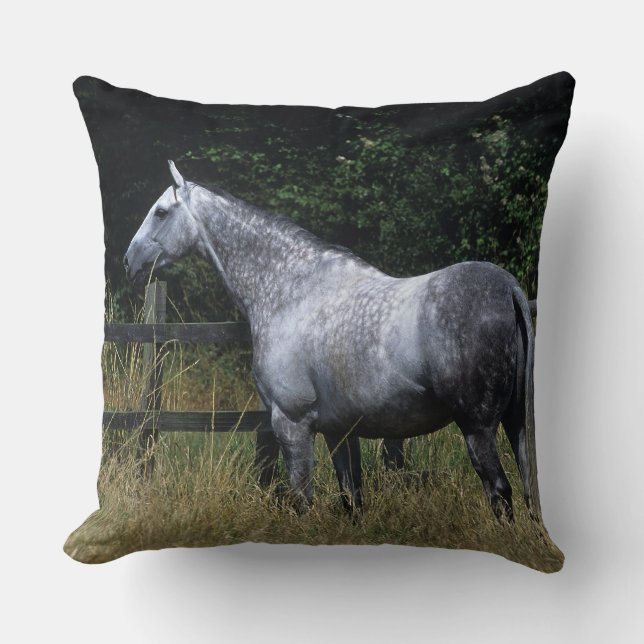 Thoroughbred Horse Standing by Fence Cushion (Front)
