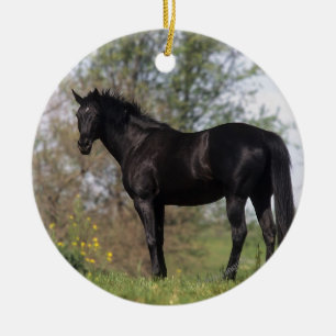 Thoroughbred Horse Standing Ceramic Tree Decoration