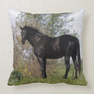 Thoroughbred Horse Standing Cushion