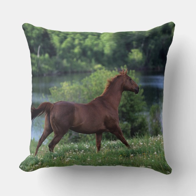 Thoroughbred Horse Standing in Flowers Cushion (Front)