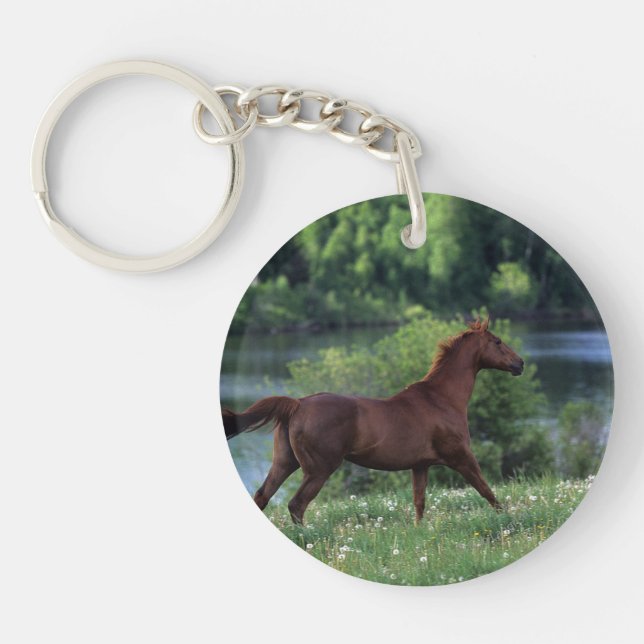 Thoroughbred Horse Standing in Flowers Key Ring (Front)
