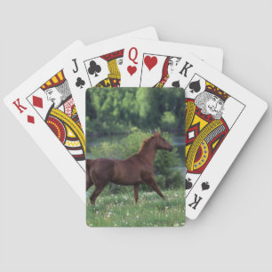 Thoroughbred Horse Standing in Flowers Playing Cards