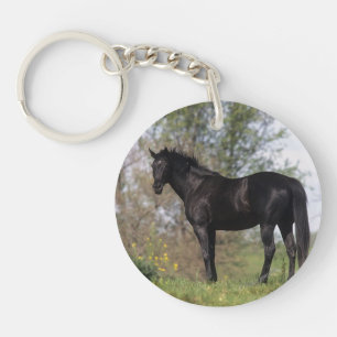 Thoroughbred Horse Standing Key Ring