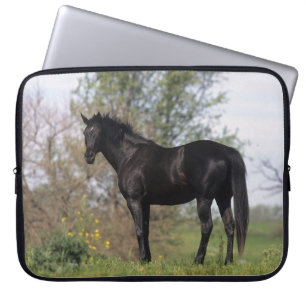 Thoroughbred Horse Standing Laptop Sleeve