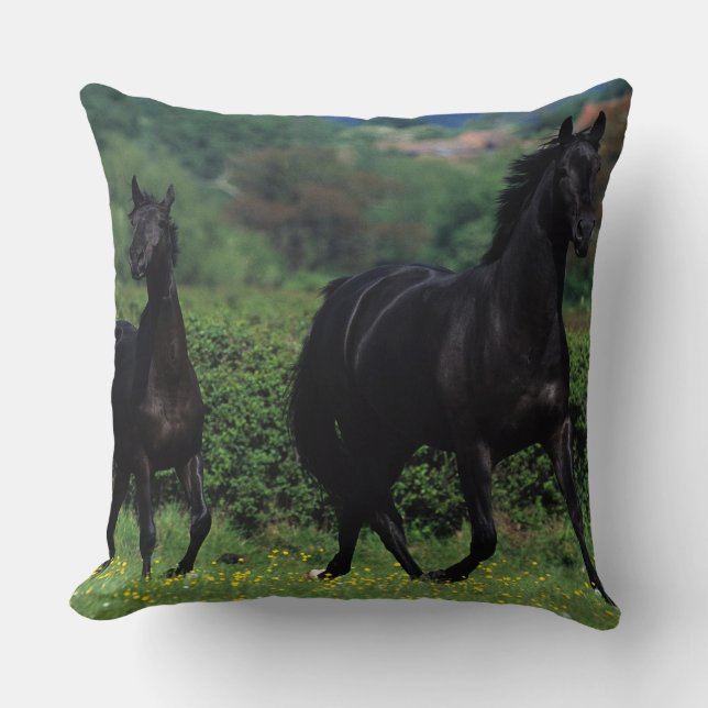 Thoroughbred Horses in Flower Field Cushion (Front)