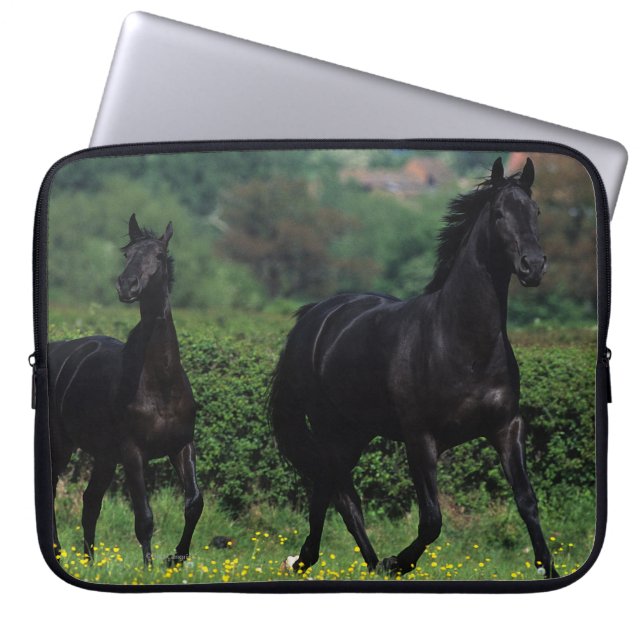 Thoroughbred Horses in Flower Field Laptop Sleeve (Front)