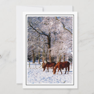 Thoroughbred Horses in Snow Holiday Card