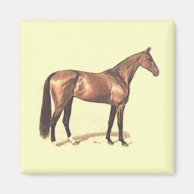 Thoroughbred Magnet (Front)
