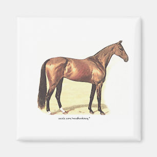 Thoroughbred Magnet