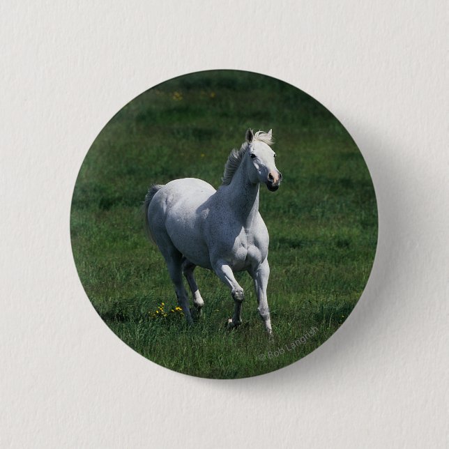 Thoroughbred Mare 6 Cm Round Badge (Front)