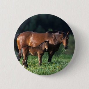 Thoroughbred Mare & Foal 1 6 Cm Round Badge