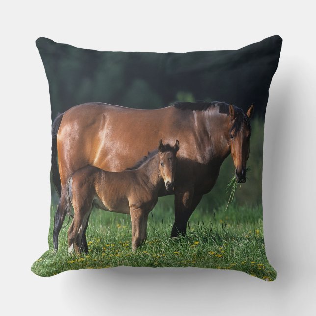 Thoroughbred Mare & Foal 1 Cushion (Front)