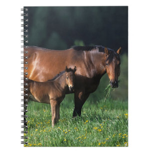 Thoroughbred Mare & Foal 1 Notebook