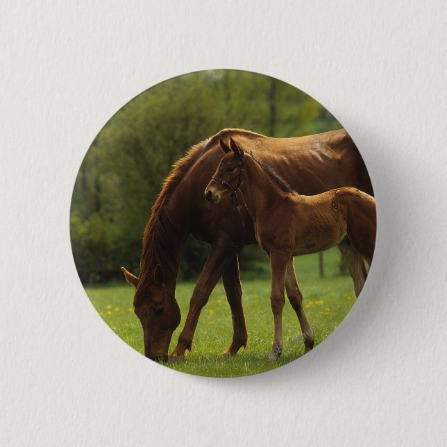 Thoroughbred Mare & Foal 2 6 Cm Round Badge (Front)