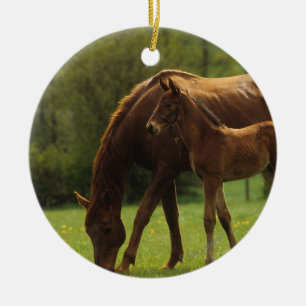 Thoroughbred Mare & Foal 2 Ceramic Tree Decoration