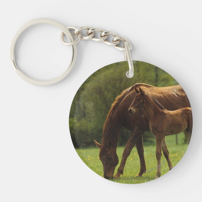 Thoroughbred Mare & Foal 2 Key Ring (Front)
