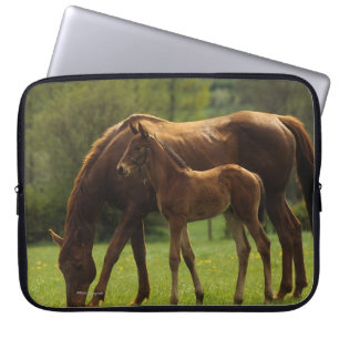Thoroughbred Mare & Foal 2 Laptop Sleeve