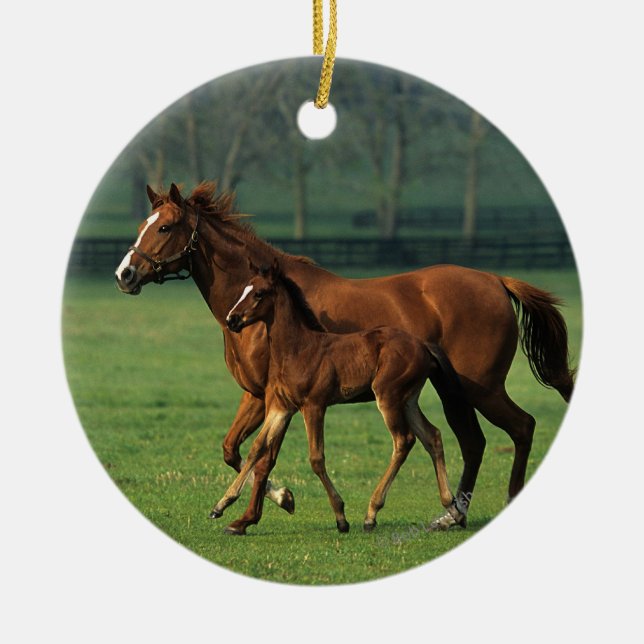 Thoroughbred Mare & Foal 3 Ceramic Tree Decoration (Front)