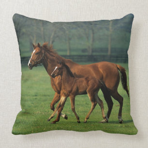 Thoroughbred Mare & Foal 3 Cushion