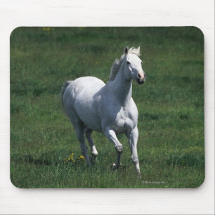 Thoroughbred Mare Mouse Pad