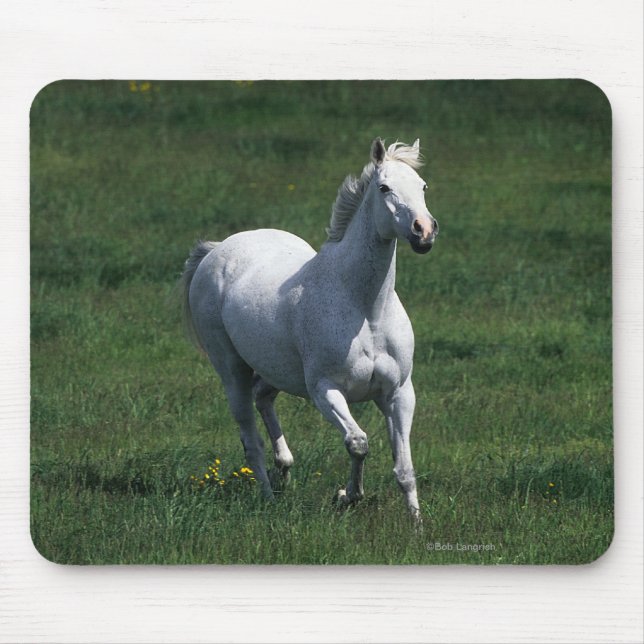 Thoroughbred Mare Mouse Pad (Front)