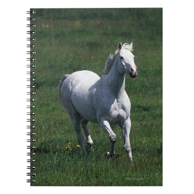 Thoroughbred Mare Notebook (Front)