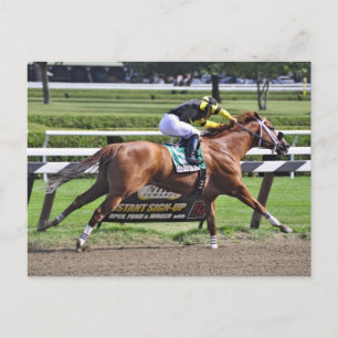 Thoroughbred Racing at Historic Saratoga Racetrack Postcard