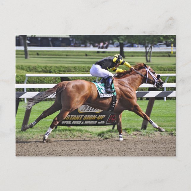 Thoroughbred Racing at Historic Saratoga Racetrack Postcard (Front)